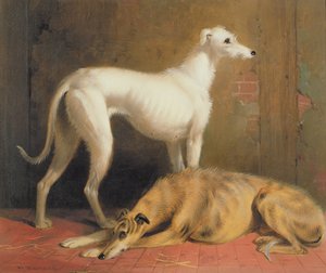 Deerhounds في الداخل
